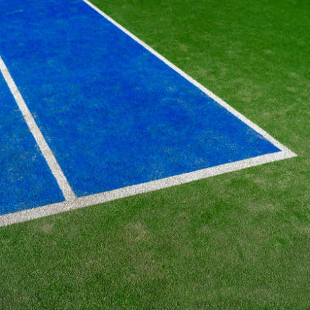 Comment la rénovation d’un terrain de tennis en gazon synthétique à Lyon peut-elle influencer les espèces animales qui habitent autour du terrain ?