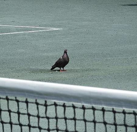 Comment la Rénovation d’un court de tennis en béton poreux à Cannes réduit-elle les coûts d’entretien futurs ?