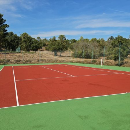 Pourquoi les clubs de sport investissent-ils dans la construction de courts de tennis à Annecy ?