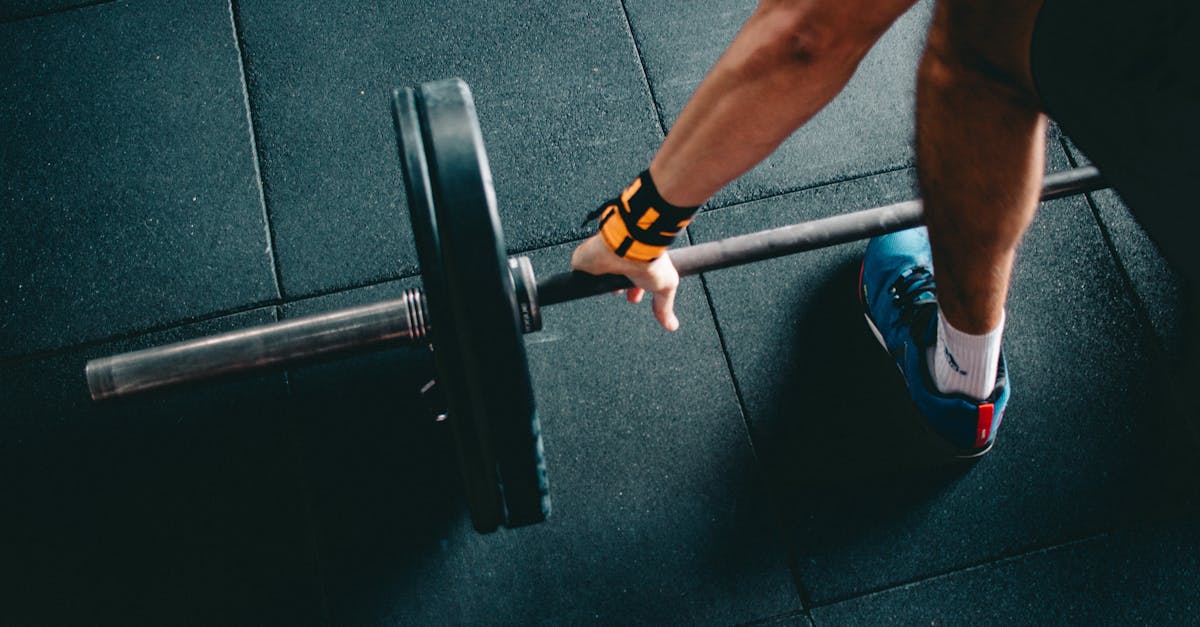 découvrez le monde du fitness : conseils, programmes d'entraînement et nutrition pour vous aider à atteindre vos objectifs de remise en forme. transformez votre corps et votre esprit grâce à des techniques adaptées à tous les niveaux.