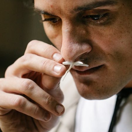 Découvrez des expériences sensorielles inédites avec Univers du Plug