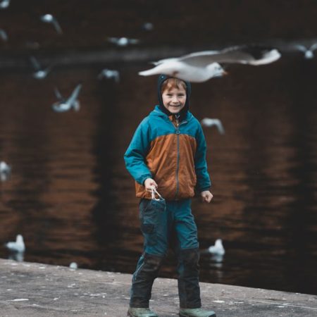 Découvrez l’art de la précision et de l’aventure avec Le Lance Pierre