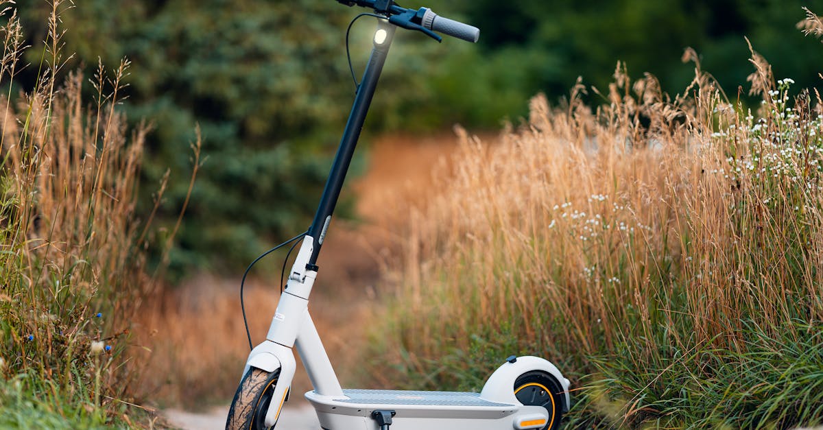 découvrez les dernières tendances écologiques, les innovations vertes et les actions pour préserver l'environnement. informez-vous sur les solutions durables pour un avenir plus respectueux de la planète.