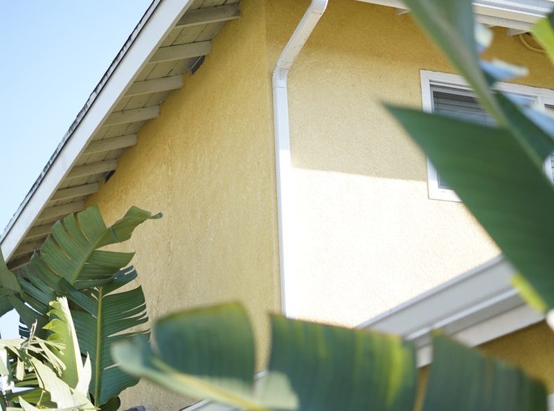 green banana tree beside white wooden house