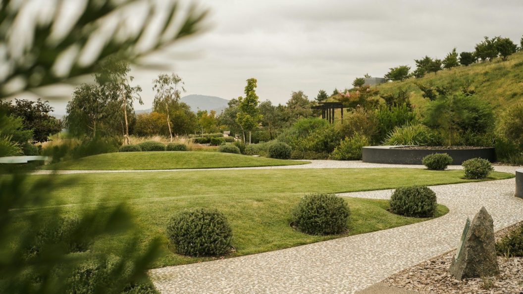 a large green lawn with bushes and trees